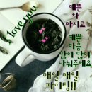 삼거리민박 네이버블로그