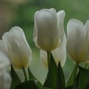 세영자원 이미지