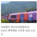 와와정선 2층 투어버스 | 정선 시티투어버스 코스 이용요금 운행시간