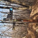 (주)비오지노키 금산지점 | (수태산/무이산 산행) 바람이 몹시 불던날 !! 고향 동네 산행을 다녀오다