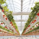 재기농장 이미지