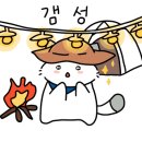 명도그 오토캠핑장 이미지