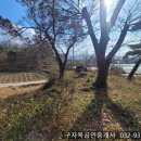 하점면신봉리