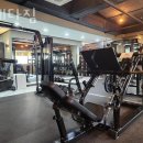 플레타짐 이미지