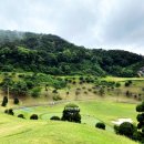 보은골프장 이미지