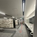 올림픽수영장 | [일본] 도쿄 아쿠아틱스 센터(Tokyo Aquatics Centre) 도쿄 올림픽 수영장 방문 후기