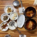 14개월 아기랑 2박 3일 경주여행 | 예진횟집, 아침 식사 맛집 유가네한우곰탕, 교리김밥 보문점