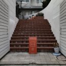 토마토노래연습장(NO.253) | 내가 싫어하는 밤이 오면, 이불을 뒤집어쓰곤 내일이 오길 바라요