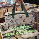 '코스트코 백화수복 원컵' 캠핑가방 패키지 구매후기