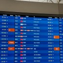 코스메오 | 푸꾸옥 3박5일 여행 1일차, 메오 키친, 선셋 타운 버기카 투어