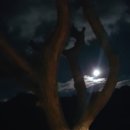 토마토빌리지펜션 이미지