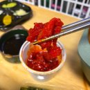 시드니참치 이미지