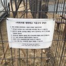 아리아펫 이미지