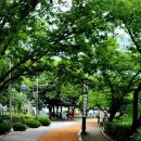 연화지보리밥식당