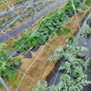 주대농장 이미지