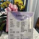 드리머스헤어