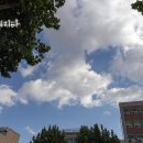 일등로또복권방 이미지
