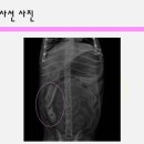 청담동물병원 이미지