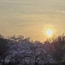 일동농장 이미지