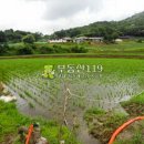 노곡리농장 이미지