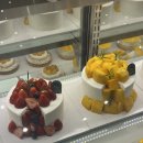 강남 농장 이미지