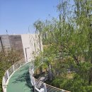 올레길 도심형 2코스 이미지