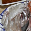이선장회