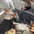 스테이 문릿 | 춘천 여행 강촌역 근처 캠핑 펜션 추천 스테이문