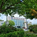 유성구청 별관3층 이미지