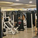 이지피티 | 나만의 페이스를 찾는 행신동헬스, 이지짐플러스 우먼PT 행신점 활용법