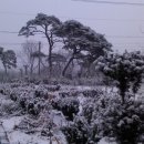 추월농장 이미지