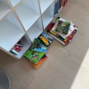 달님농장 | 신생아 책육아 (~6m, 단행본 후기📚사과가 쿵, 달님안녕, 튤립 사운드북, 헝겊책 코야, 빼뜨르 호라체크 등)