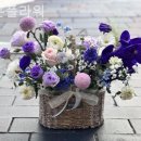 라온 플라워