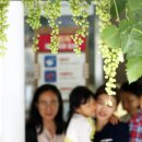 중흥2동 행정복지센터 앞 이미지