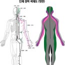 테라피바르게