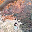 진해 내수면생태공원,목재문화체험장,행암마을. 이미지