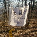 도리2리 이미지