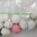 (주)현대그린푸드 국세청 구내식당 | 국세청 국세외수입 체납관리단 근무 후기｜2차 채용 시작!