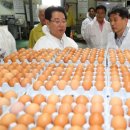 김영록농장 이미지