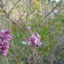 천왕농장 이미지