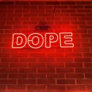 돕피(DOPE-P) 이미지