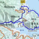 충주호 종댕이 이미지