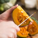 일흥농장 이미지