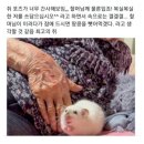 100문 100답