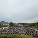 솔리,자운 이미지