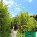 규르방 | 제주 애월 예쁜 카페 거리 가볼만한곳 주차장 ❤️
