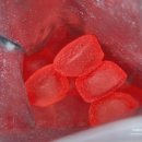 위지몰