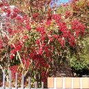 영도구청 이미지