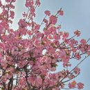 용암3길 이미지