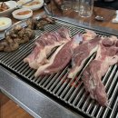힘센장어오리